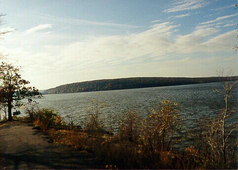 The Club Photo Album